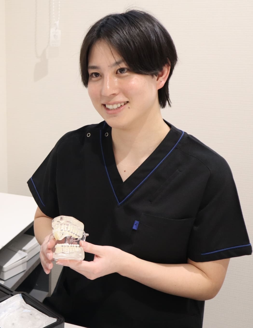 経歴と専門分野